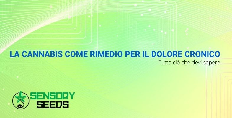 La cannabis per il dolore cronico