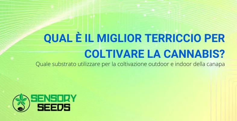 miglior-terriccio-per-cannabis Miglior terriccio per cannabis
