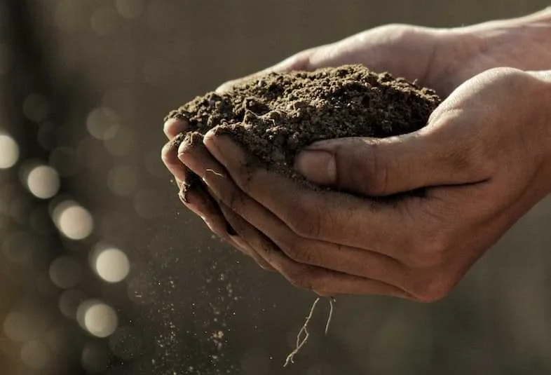 quanto-terreno-serve-per-coltivare-canapa Quanto terreno serve per coltivare la canapa