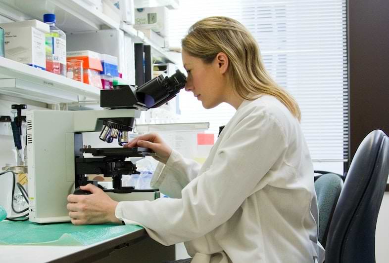 Come si presentano i cannabinoidi sintetici