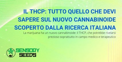 Cannabinoide THCP: tutto sul nuovo cannabinoide della marijuana