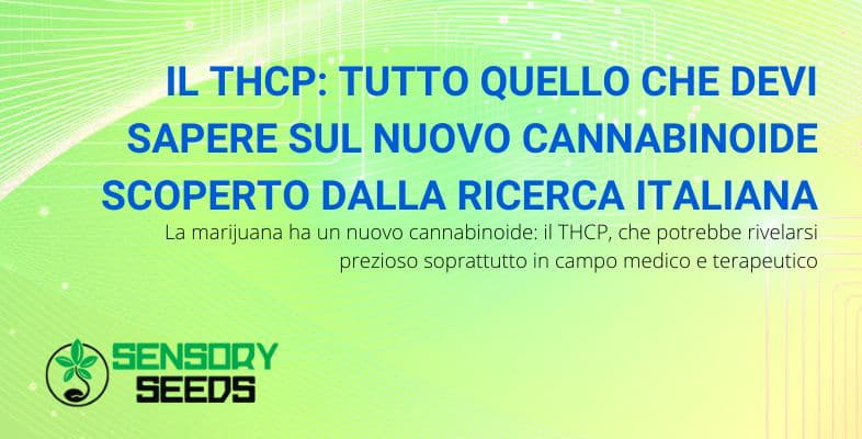 Cannabinoide THCP: tutto sul nuovo cannabinoide della marijuana