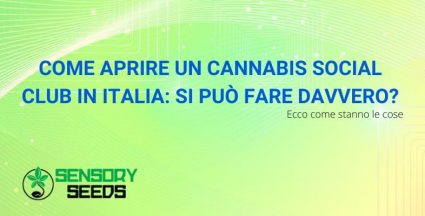 come aprire un social cannabis club in Italia