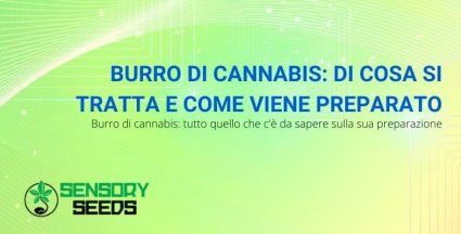 burro di cannabis