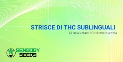 Che cosa sono le strisce di THC sublinguali?