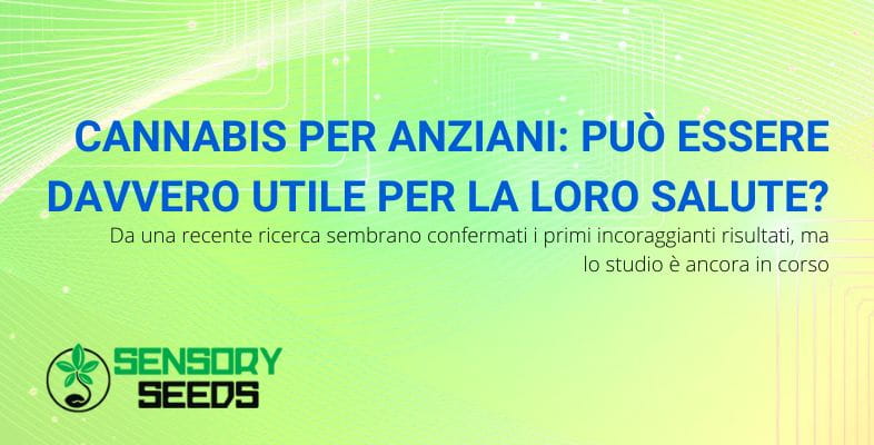 la cannabis può essere utile per la salute degli anziani
