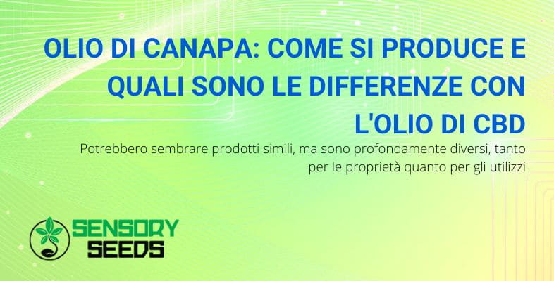 Come si produce l'olio di canapa e le differenze con l'olio di CBD