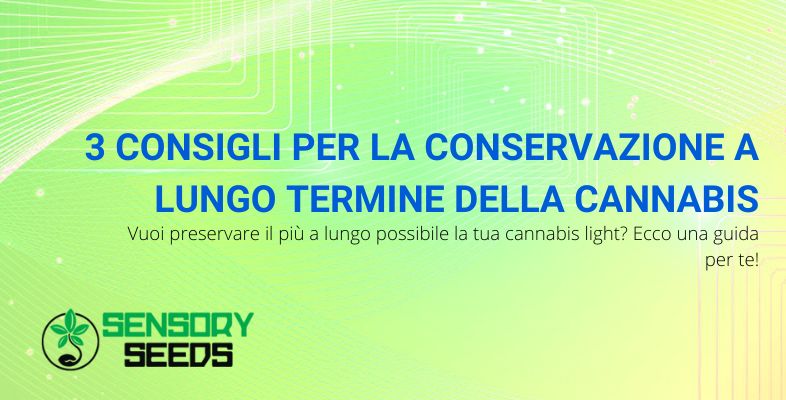 3 consigli per la conservazione a lungo termine della cannabis