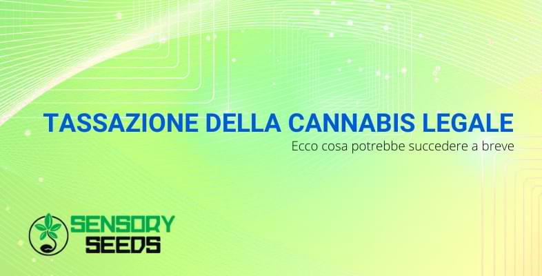 tassazione cannabis | Sensory Seeds