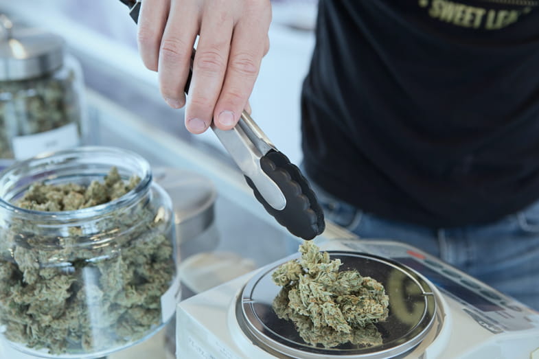 Uomo che conserva le cime di cannabis in un vasetto di vetro