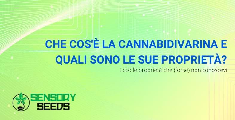 proprietà della cannabidivarina