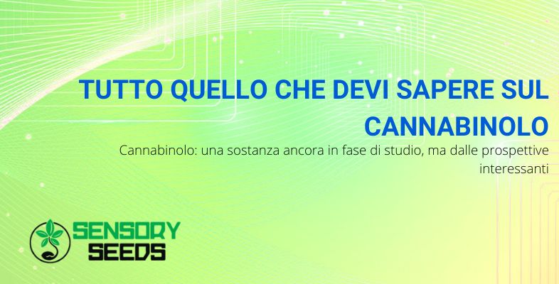 che cos'è il cannabinolo