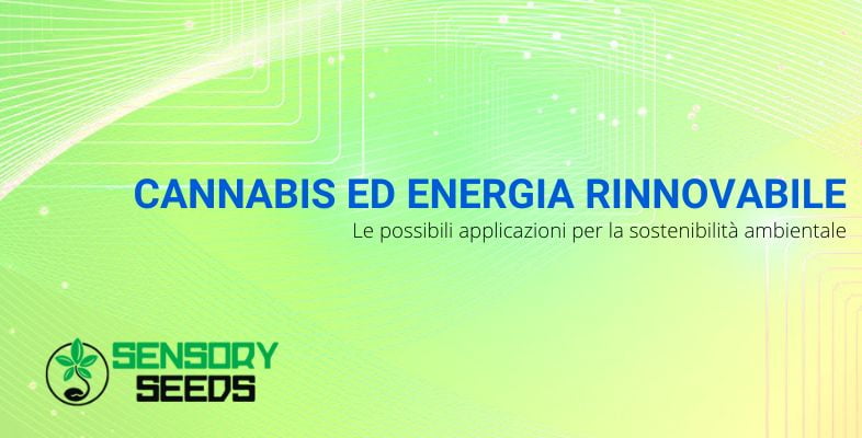 Cannabis ed energia rinnovabile | SensorySeeds