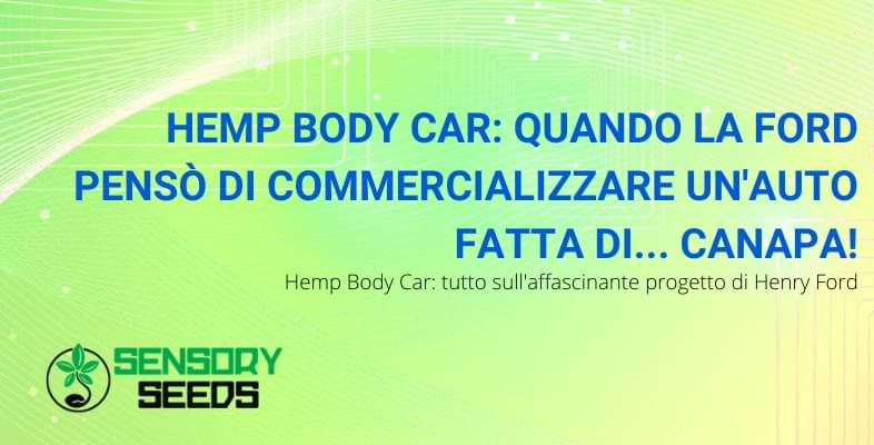 hemp body car | Sensory Seeds