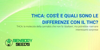 Cos'è il THCA