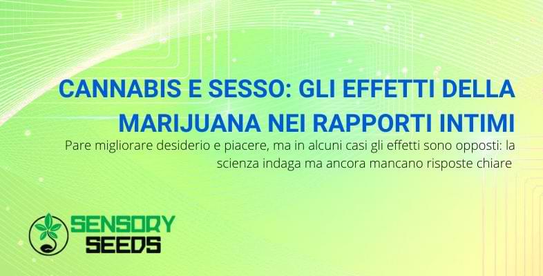 Gli effetti della marijuana nel sesso | Sensoryseeds