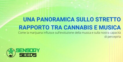 rapporto tra cannabis e musica