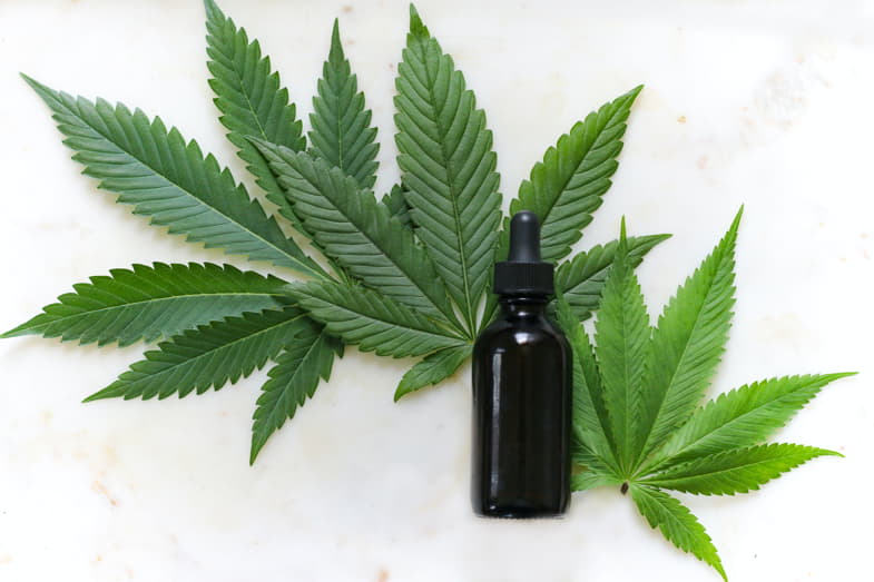 Foglie di cannabis e tintura di cannabis | SensorySeeds