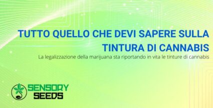 la tintura di cannabis