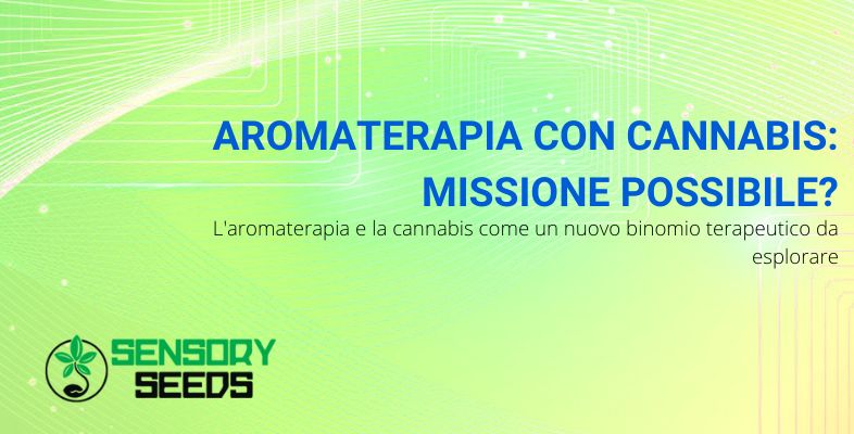 Aromaterapia e cannabis | Sensoryseeds