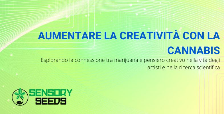 Aumentare la creatività con la cannabis | Sensoryseeds