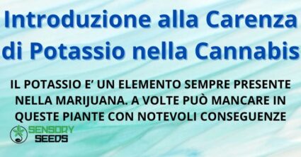 Introduzione alla Carenza di Potassio nella Cannabis