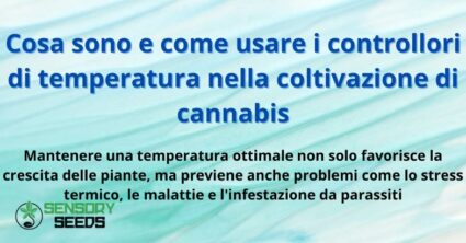 controllori di temperatura nella coltivazione di cannabis