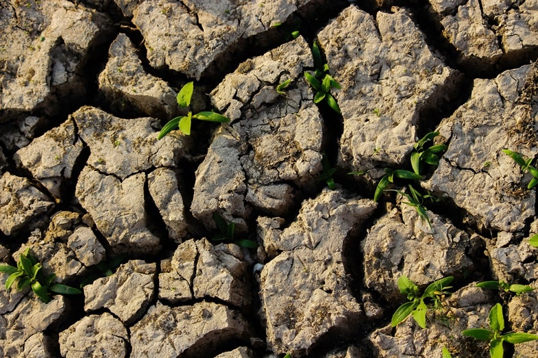 Cos'è un substrato e perché è importante?