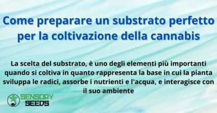 Come preparare un substrato perfetto per la coltivazione della cannabis