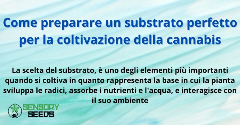 Come preparare un substrato perfetto per la coltivazione della cannabis
