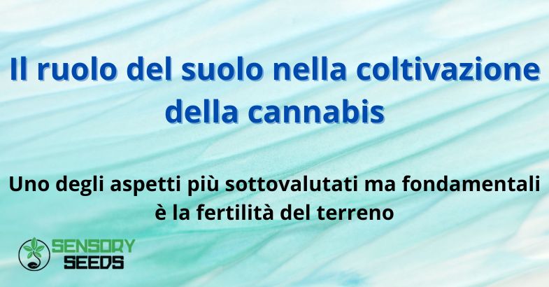 Il ruolo del suolo nella coltivazione della cannabis