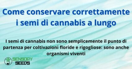 Come conservare correttamente i semi di cannabis a lungo