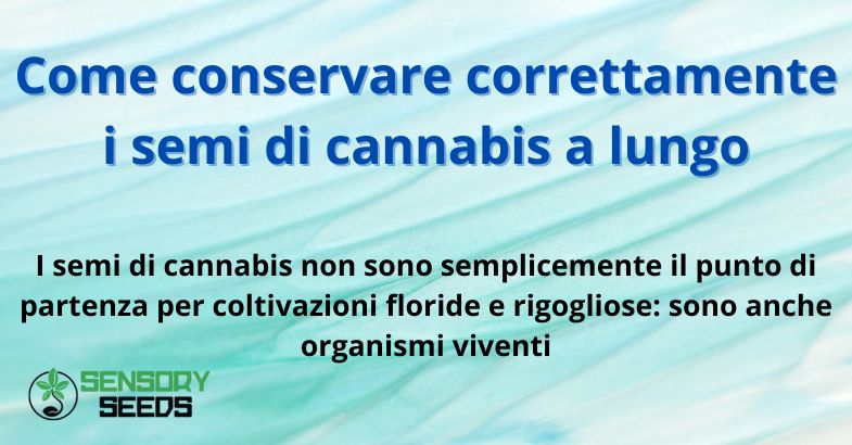 Come conservare correttamente i semi di cannabis a lungo