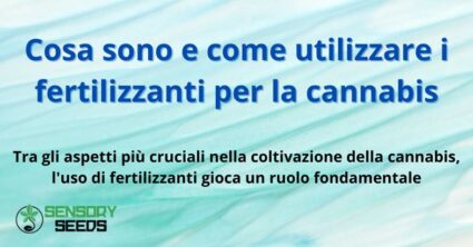 Cosa sono e come utilizzare i fertilizzanti per la cannabis