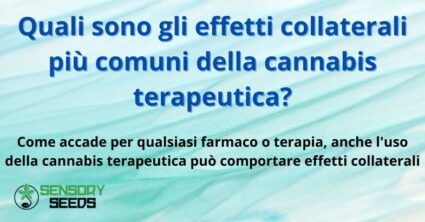 Quali sono gli effetti collaterali più comuni della cannabis terapeutica?