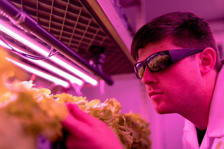 Benefici e limiti dell’uso della luce UV