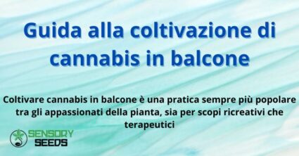 Guida alla coltivazione di cannabis in balcone