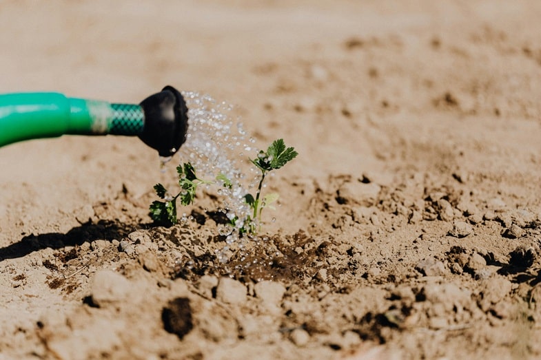 Sistemi di irrigazione per un terreno sano