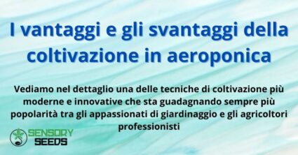 I vantaggi e gli svantaggi della coltivazione in aeroponica