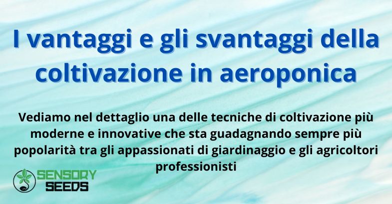 I vantaggi e gli svantaggi della coltivazione in aeroponica