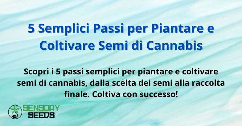 5 Semplici Passi per Piantare e Coltivare Semi di Cannabis