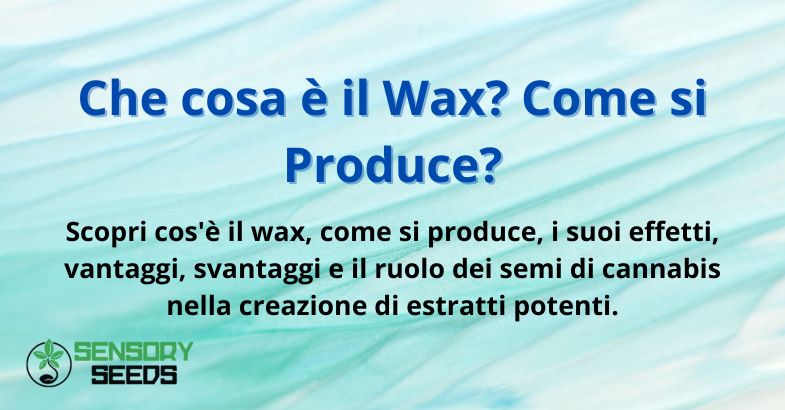 Che cosa è il Wax? Come si Produce?