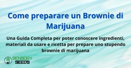 Come preparare un Brownie di Marijuana