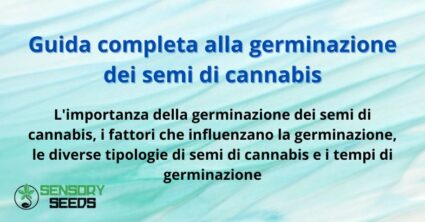 Guida completa alla germinazione dei semi di cannabis