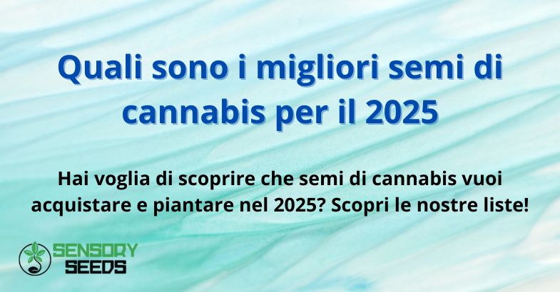 Quali sono i migliori semi di cannabis per il 2025