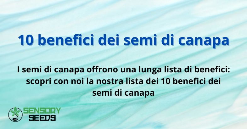 10 benefici dei semi di canapa