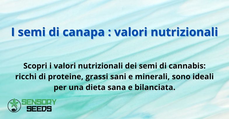 I semi di canapa : valori nutrizionali