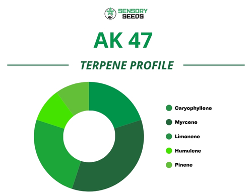 Grafico a torta del profilo terpenico della varietà AK 47