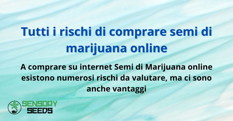 Tutti i rischi di comprare semi di marijuana online