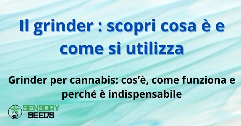 Il grinder : scopri cosa è e come si utilizza